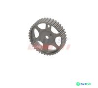 FAST CAMSHAFT GEAR/SPROCKET FT10530 FOR CITROËN PEUGEOT