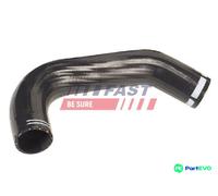 FAST CHARGE AIR HOSE FT61747