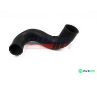 FAST CHARGE AIR HOSE FT61952