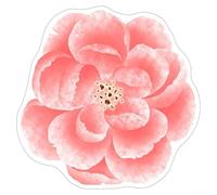 Fast-Drying Floor Mat Engineered for Water and Oil Resistance with Non-Slip Rubber Base for Multiple Home Locations (Lotus root starch)