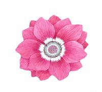 Fast-Drying Floor Mat Engineered for Water and Oil Resistance with Non-Slip Rubber Base for Multiple Home Locations (Pink)