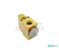 FAST EXPANSION VALVE INJECTOR NOZZLE FT83012 FOR CITROËN RENAULT