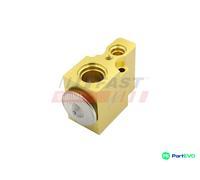 FAST EXPANSION VALVE INJECTOR NOZZLE FT83013