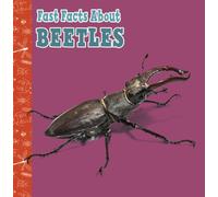 Fast Facts About Beetles