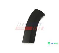 FAST FRONT LEFT WING TRIM/PROTECTION STRIP FT90891