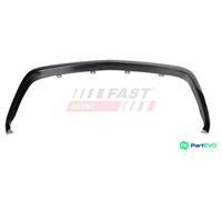 FAST FRONT RADIATOR GRILLE TRIM/PROTECTION STRIP FT97302
