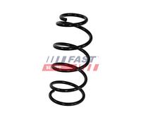 FAST FT01896 Coil spring