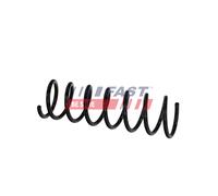 FAST FT01916 Coil spring