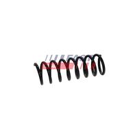 FAST FT01918 Coil spring