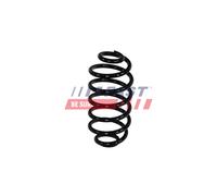 FAST FT01941 Coil spring