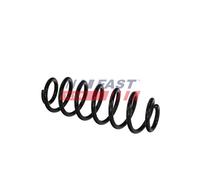 FAST FT02025 Coil spring