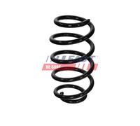 FAST FT11362 Coil spring