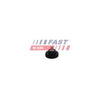 FAST FT11389 Roller Guide, sliding door