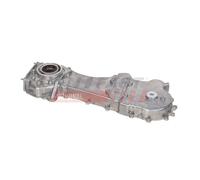 FAST FT38301 Oil Pump