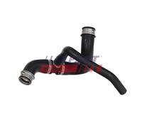 FAST FT61615 Radiator hose