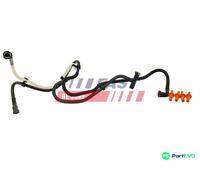 FAST FT39585 Fuel Hose