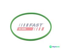 FAST FUEL TANK SEAL FT48503 FOR ALFA ROMEO FIAT