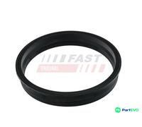 FAST FUEL TANK SEAL FT48505 FOR FORD