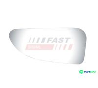 FAST LEFT EXTERIOR MIRROR MIRROR GLASS FT88593