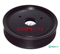 FAST POWER STEERING PUMP BELT PULLEY FT45596