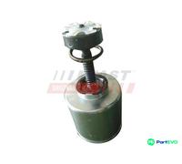 Brake caliper piston Rear Axle FT32290 FAST for IVECO DAILY IV Bus DAILY IV Van