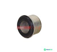 FAST REAR FRONT CONTROL/TRAILING ARM MOUNTING FT18022