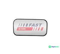FAST RIGHT EXTERIOR MIRROR MIRROR GLASS FT88623