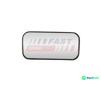 FAST RIGHT EXTERIOR MIRROR MIRROR GLASS FT88623