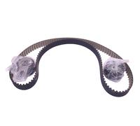 Fast Timing Belt Kit Fits Citroen C3 C4 DS Fiat Ford Mazda 2 Peugeot Volvo