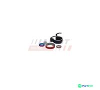FAST UNIT INJECTOR REPAIR KIT FT01831 FOR DS