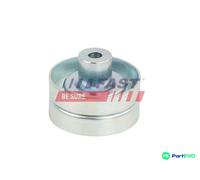 FAST V-RIBBED BELT TENSIONER PULLEY FT44666