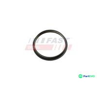 FAST VACUUM PUMP GASKET FT49853