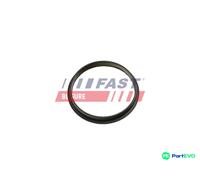 FAST VACUUM PUMP GASKET FT49853