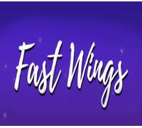 Fast Wings Steam CD Key