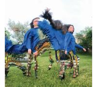 Faster Than I Can Take