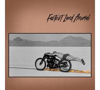 Fastest Land Animal East Coast, West Coast, In Between (CD) (US IMPORT)
