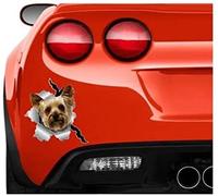 FASTLATE (2PCS) Car Sticker 22cm(8.6inches) Lady Cat Decor Yorkshire Terrier Yorkie Sticker Vinyl Sticker Terrier Sticker Car Yorkie Vinyl Sticker York Dog(Hg1Fs13735)