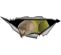 FASTLATE 3D Senegal Parrot Car Sticker Torn Metal Decal Reflective Car Decoration Vinyl Bumper Stickers,13cm*5cm