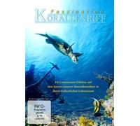 Faszination Korallenriff