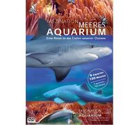 Alive AG - Aquarium - Faszination Meeres Aquarium