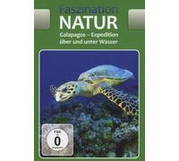 Faszination Natur Galapagos-Expedition
