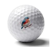 Fat Bird Golf Balls Rubber Practice for Training for Backyard Beginner