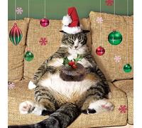 Fat Cat in Santa Hat on Sofa with Festive Pudding - Pack of 5 Charity Christmas Cards - Sold in Aid of Marie Curie Cancer Care