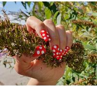 Fat-catz-copy-catz Box of 12 Professional Salon Quality Red Polka Dots Spotted False Full Cover Short Nails