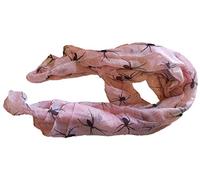 Fat-catz-copy-catz Scary Spider & Web Halloween Insect Ladies Long Soft Scarf, Shawl, Wrap, Sarong (baby pink)