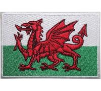 Fat-catz-copy-catz Wales National Flag The Red Dragon Iron On Patch for T-Shirts Clothing