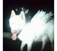 Fat Dog - Cancel Me (Im Tired) [CD] Pre-sale 02/10/26