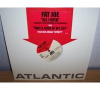 Fat Joe - All I Need / Take a Look at My Life [VINYL]