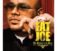 Fat Joe - Elephant in the Room (Clean)