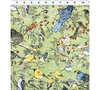 Fat Quarter Winter's Wings Birds Olive Green Cotton Quilting Fabric - Clothworks